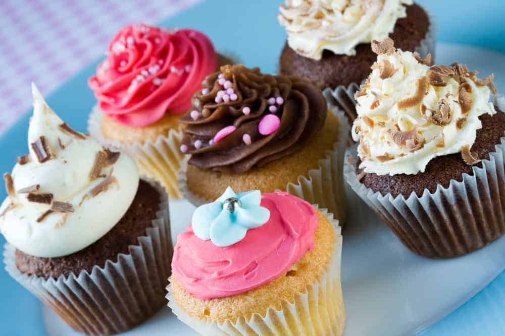 examples of cupcakes you can make based on your diva dog bakery course review