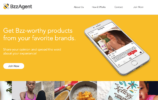 BzzAgent screenshot as a way to get companies to send you products to review