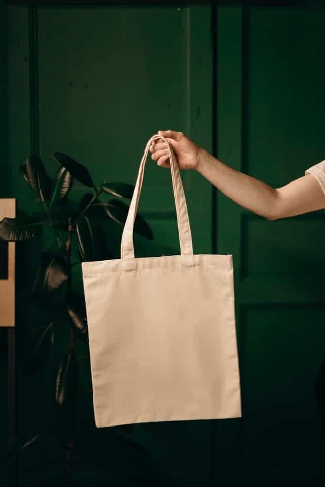 person holding canvas tote bag