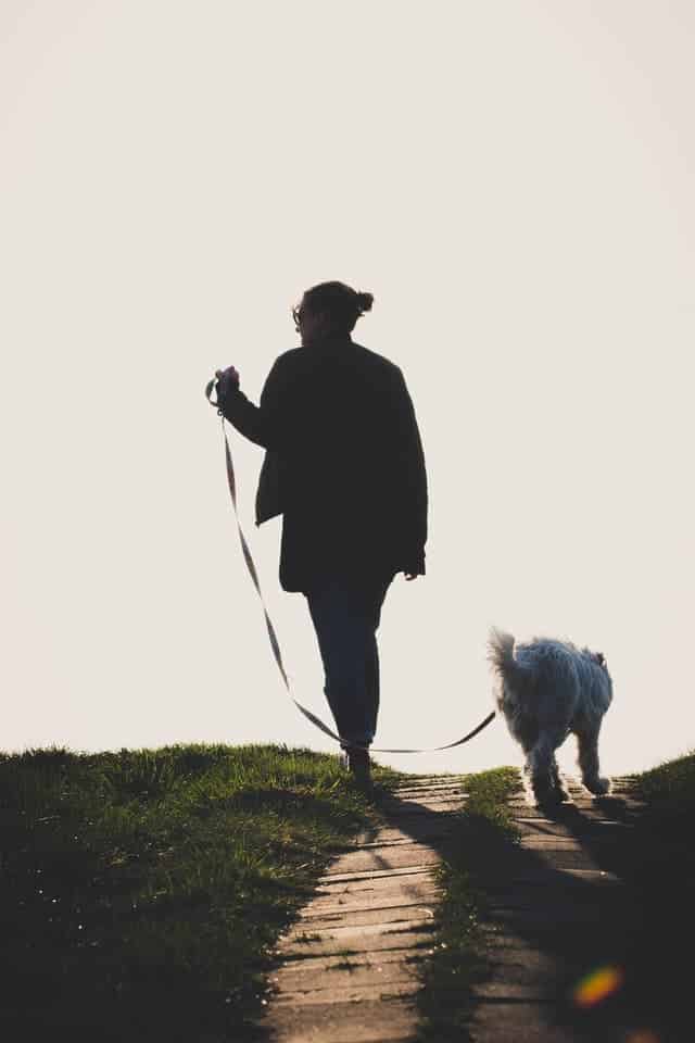 woman walking dog as a low stress job after retirement